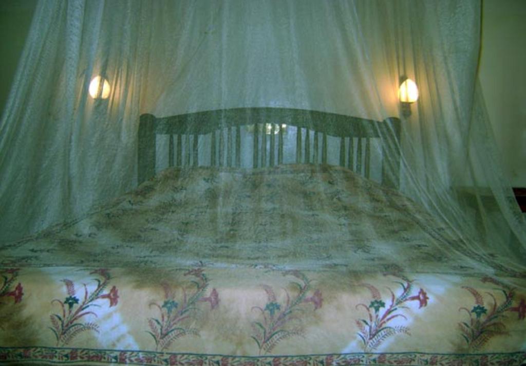 Palm Garden Home Stay Deiyannewela Zimmer foto